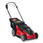 Toro 21621 60V MAX* 21 in. (53cm) Stripe® Self-Propel Lawn Mower